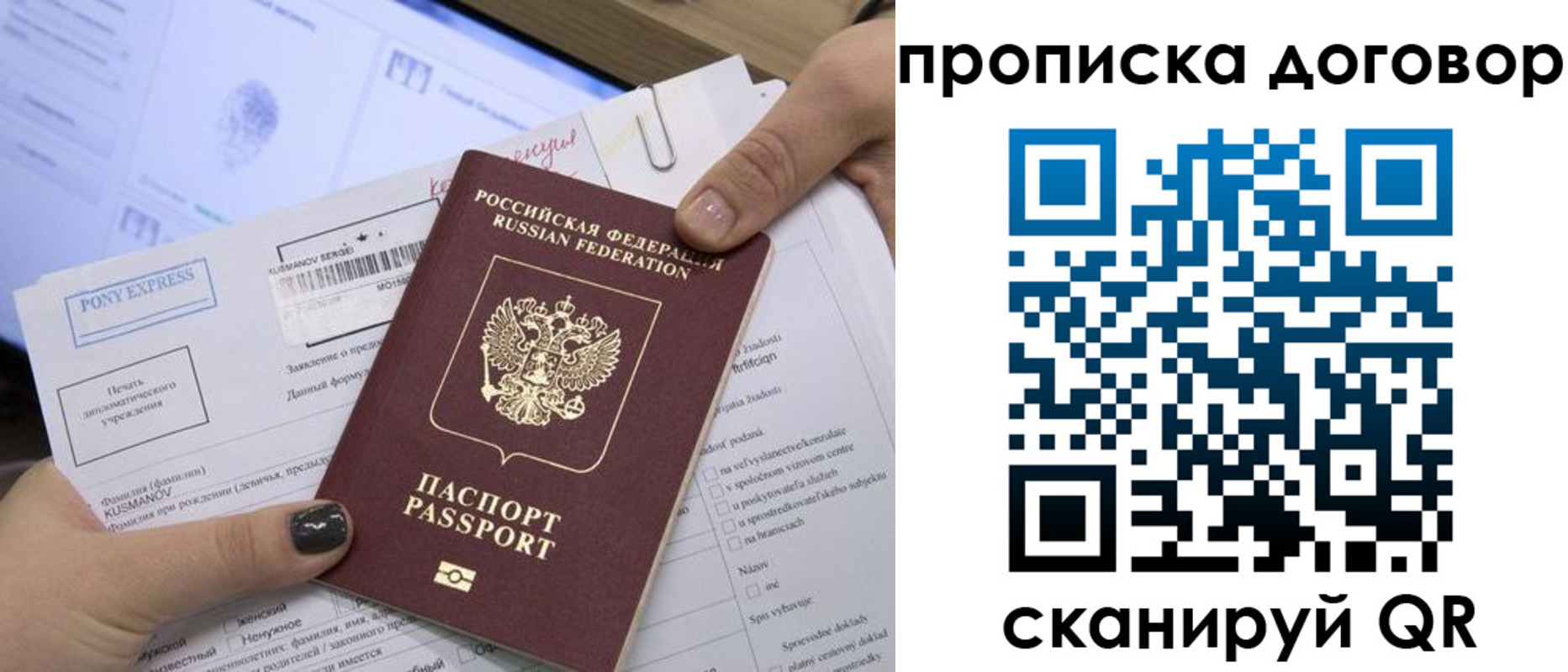 прописка гарантия в Королёве