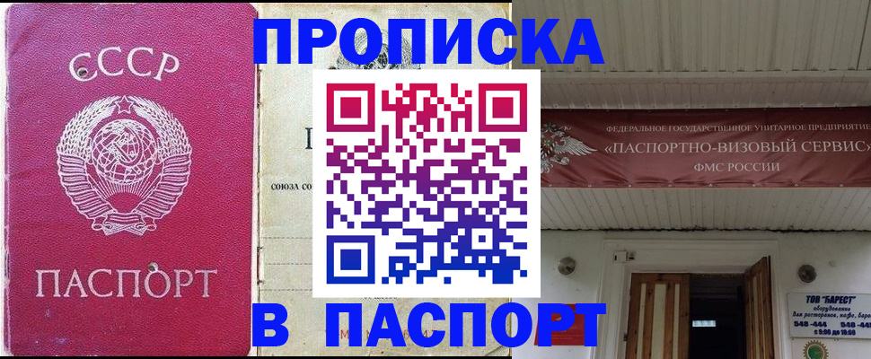 временная регистрация поиск в Королёве